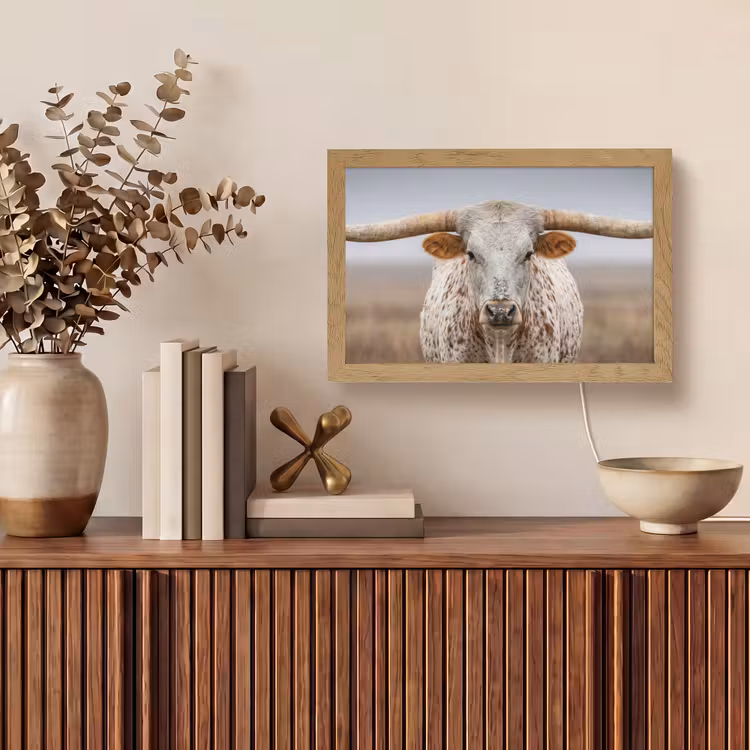 Longhorn - Grasveld - Dier Light Box met kabel (Tafellamp) klein -sfeer2