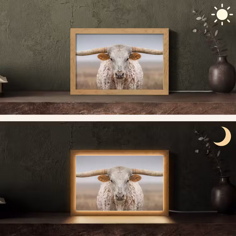 Longhorn - Grasveld - Dier Light Box met kabel (Tafellamp) klein -sfeer3