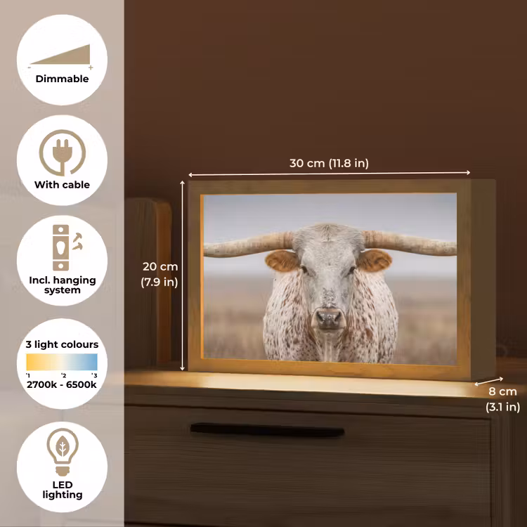 Longhorn - Grasveld - Dier Light Box met kabel (Tafellamp) klein -USP_EN