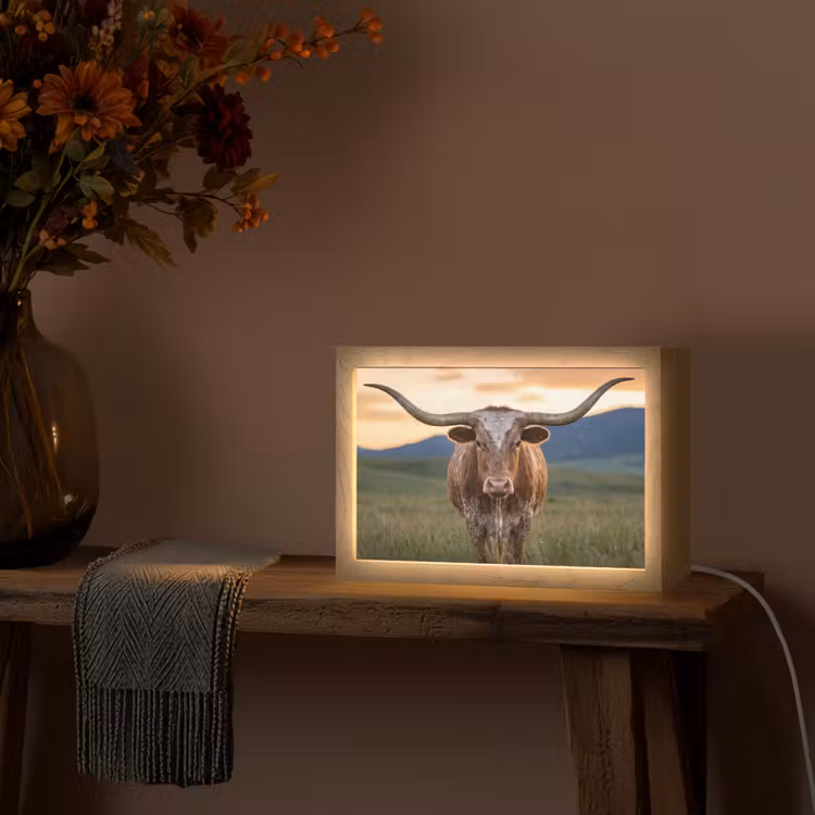 Longhorn - Landschap - Zonsondergang Light Box met kabel (Tafellamp) klein -sfeer4