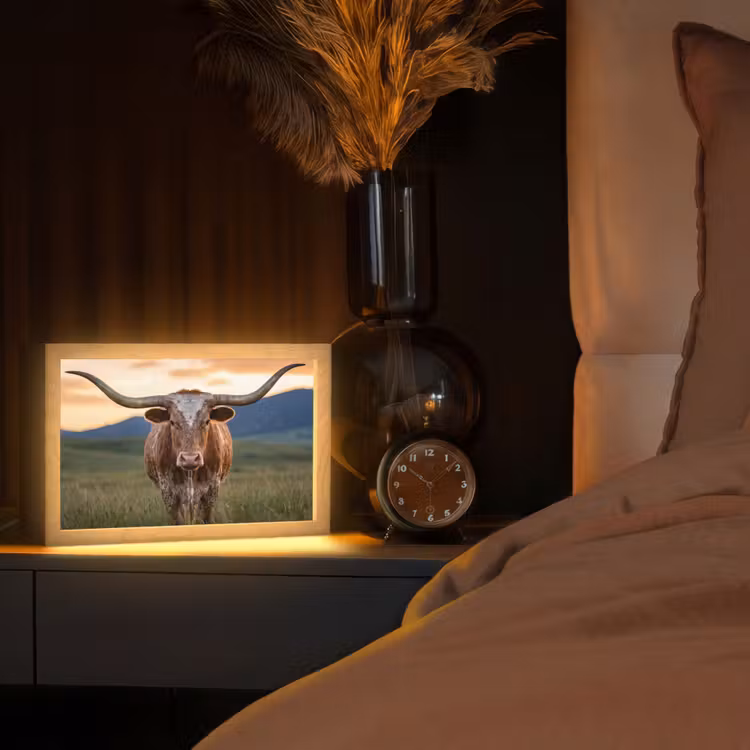 Longhorn - Landschap - Zonsondergang Light Box met kabel (Tafellamp) klein -sfeer1