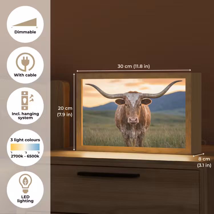 Longhorn - Landschap - Zonsondergang Light Box met kabel (Tafellamp) klein -USP_EN