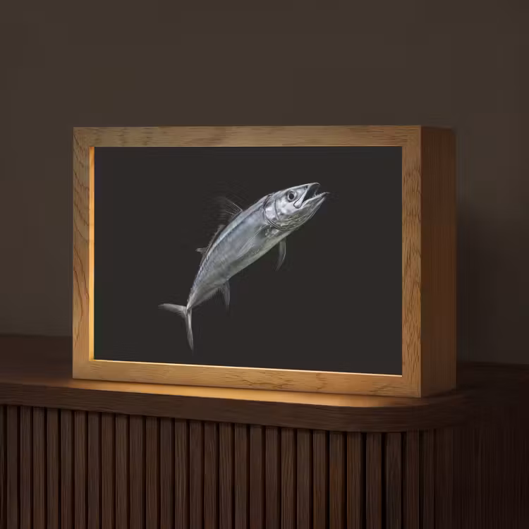 Makreel - Vis - Zwart Light Box met kabel (Tafellamp) klein -z3d_website