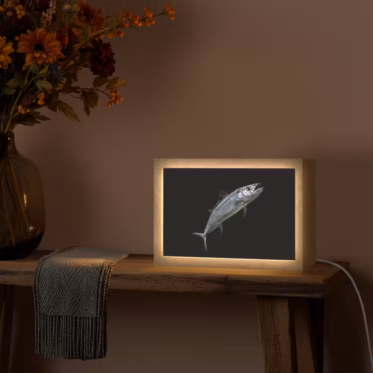 Makreel - Vis - Zwart Light Box met kabel (Tafellamp) klein -sfeer4