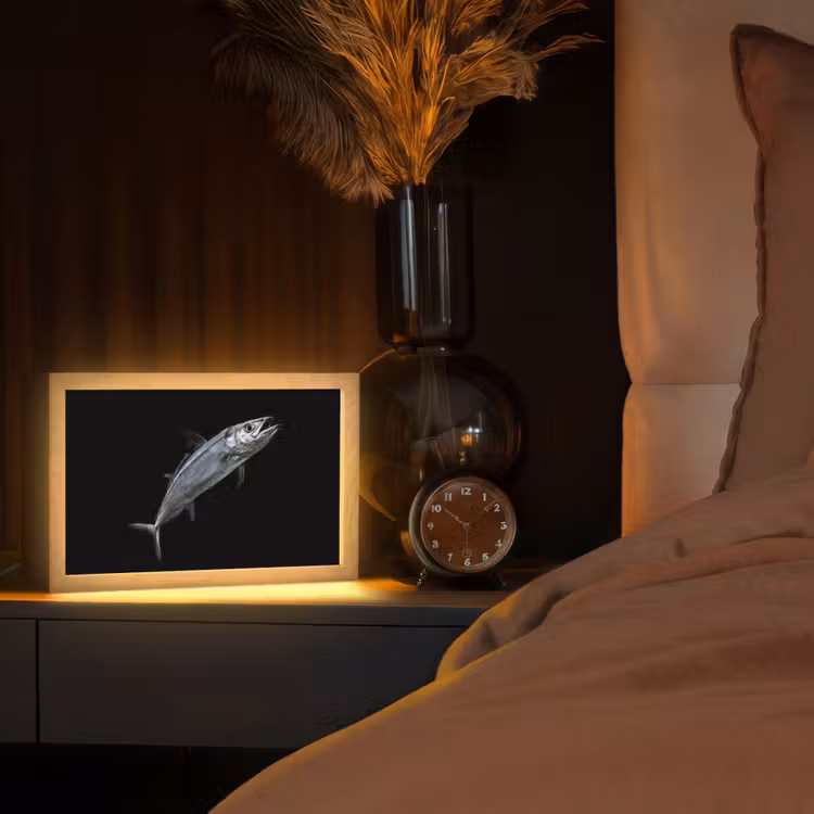 Makreel - Vis - Zwart Light Box met kabel (Tafellamp) klein -sfeer1
