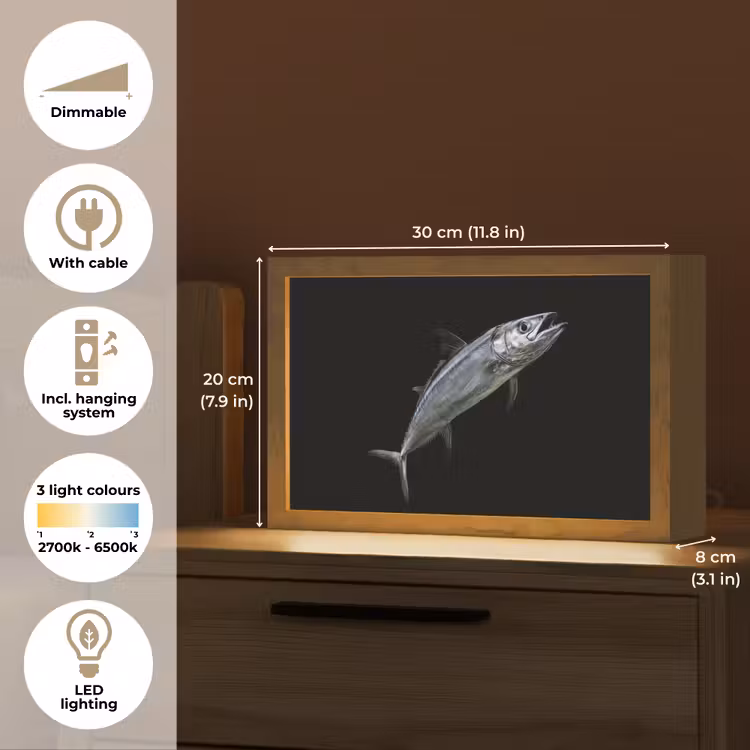Makreel - Vis - Zwart Light Box met kabel (Tafellamp) klein -USP_EN