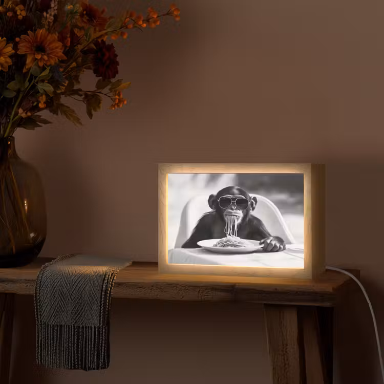 Aap - Spaghetti - Zonnebril - Zwart wit - Cool - Dier Light Box met kabel (Tafellamp) klein -sfeer4