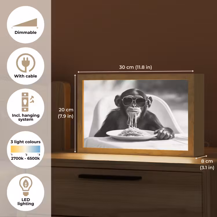Aap - Spaghetti - Zonnebril - Zwart wit - Cool - Dier Light Box met kabel (Tafellamp) klein -USP_EN