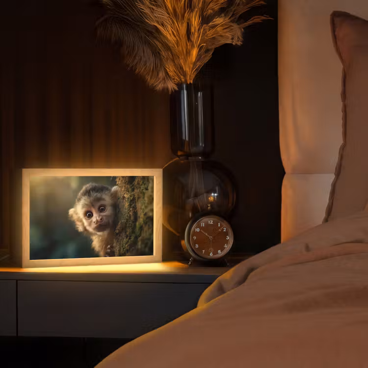 Aap - Boomstronk - Bruin Light Box met kabel (Tafellamp) klein -sfeer1