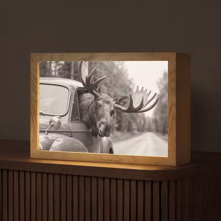 Eland - Auto - Gewei - Zwart - Wit Light Box met kabel (Tafellamp) klein -z3d_website