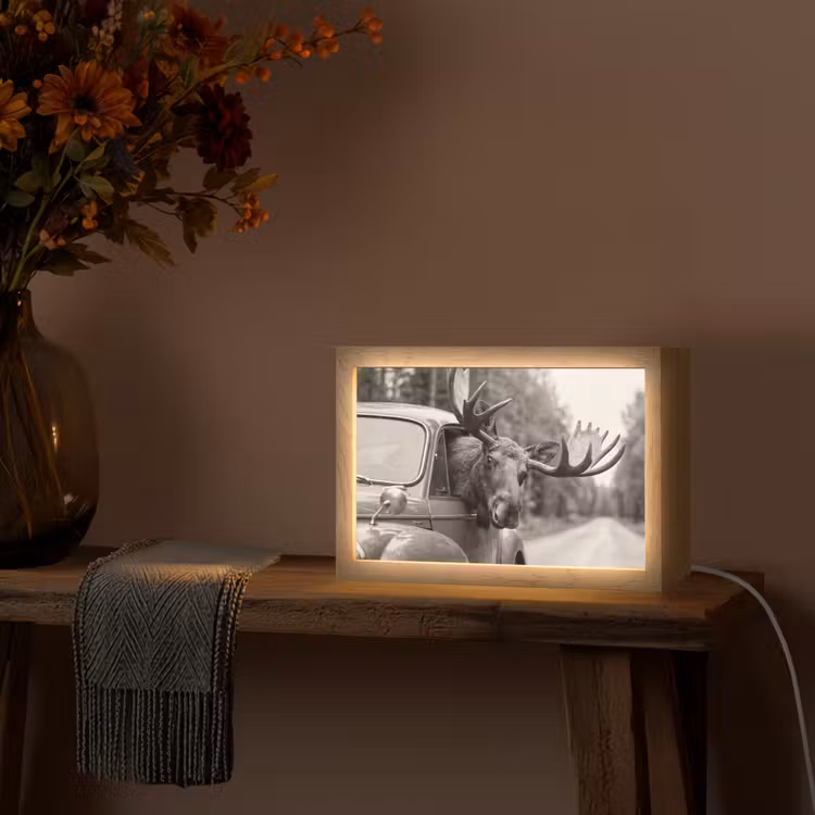 Eland - Auto - Gewei - Zwart - Wit Light Box met kabel (Tafellamp) klein -sfeer4