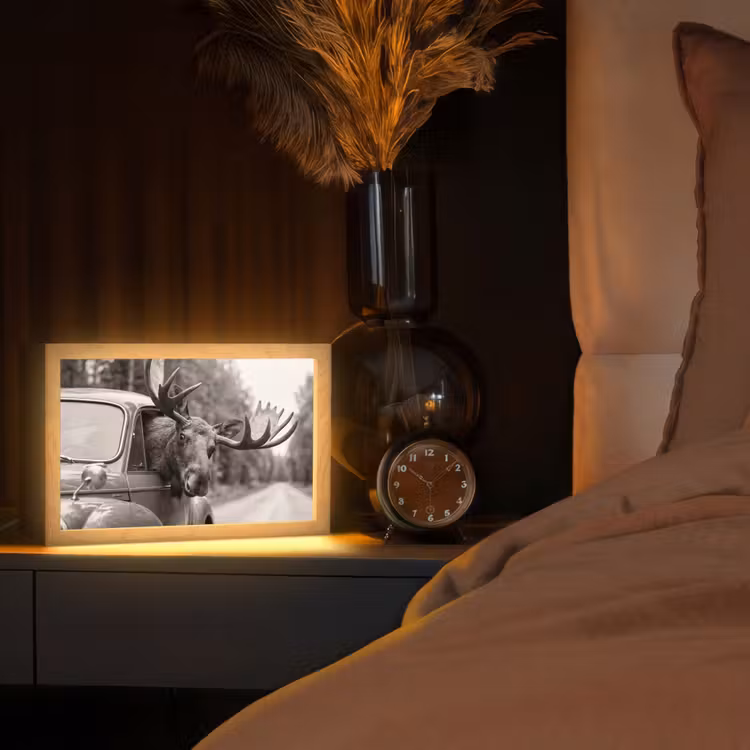 Eland - Auto - Gewei - Zwart - Wit Light Box met kabel (Tafellamp) klein -sfeer1