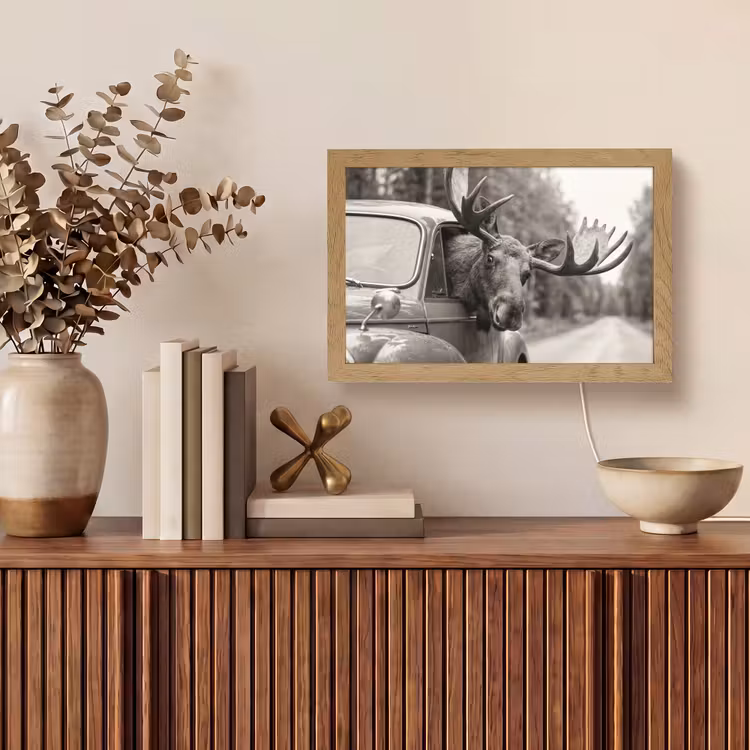 Eland - Auto - Gewei - Zwart - Wit Light Box met kabel (Tafellamp) klein -sfeer2