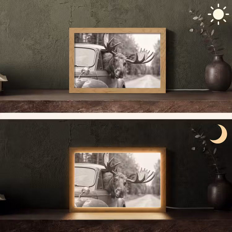 Eland - Auto - Gewei - Zwart - Wit Light Box met kabel (Tafellamp) klein -sfeer3