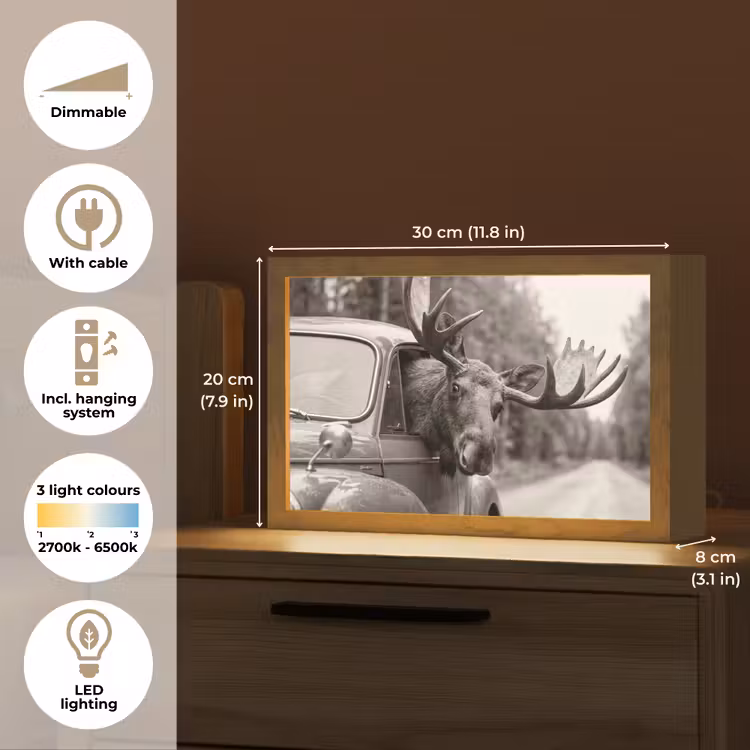 Eland - Auto - Gewei - Zwart - Wit Light Box met kabel (Tafellamp) klein -USP_EN