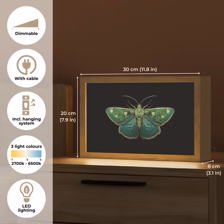 Mot - Levendig - Groen Light Box met kabel (Tafellamp) klein -USP_EN