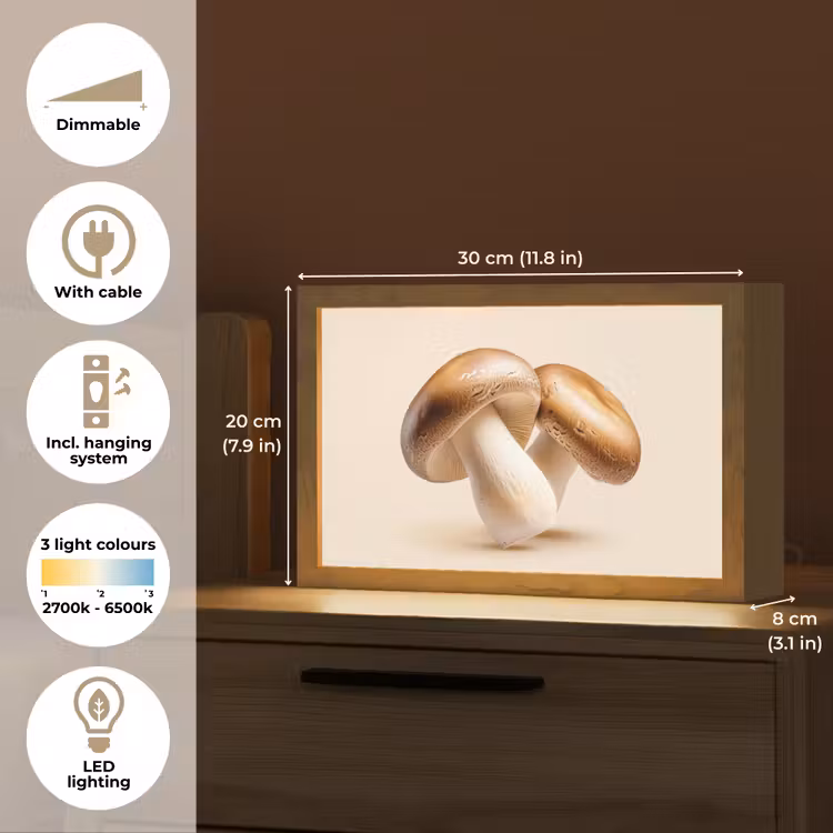 Champignons - Zacht - Beige Light Box met kabel (Tafellamp) klein -USP_EN