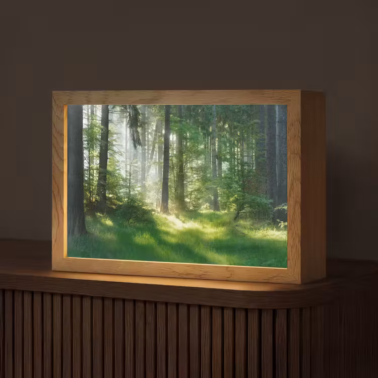 Natuur - Bomen - Bos - Groen - Zon - Gras - Planten Light Box met kabel (Tafellamp) klein -z3d_website
