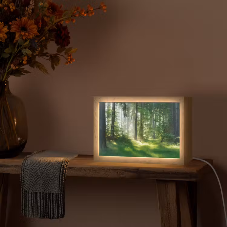 Natuur - Bomen - Bos - Groen - Zon - Gras - Planten Light Box met kabel (Tafellamp) klein -sfeer4