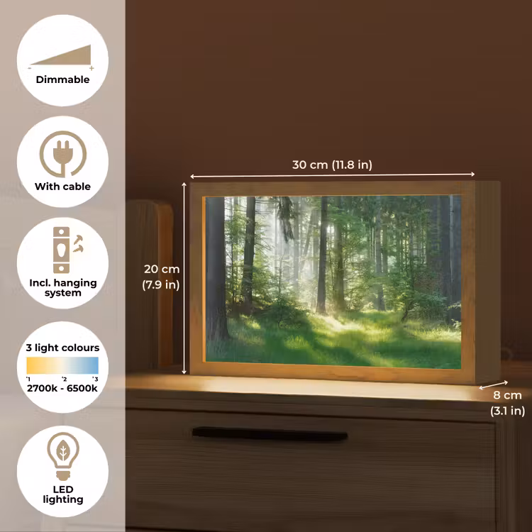 Natuur - Bomen - Bos - Groen - Zon - Gras - Planten Light Box met kabel (Tafellamp) klein -USP_EN