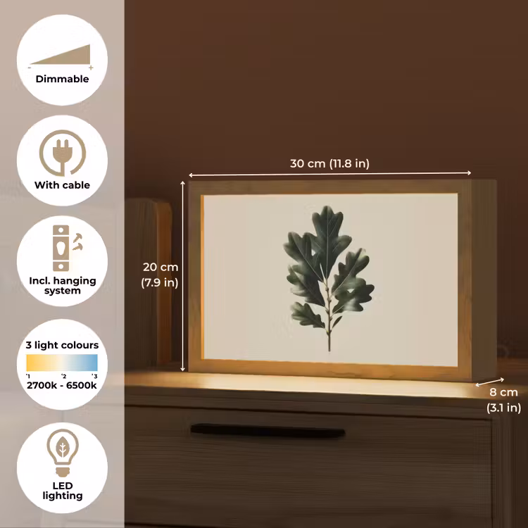 Eikenbladeren - Beige - Groen - Golvende randen Light Box met kabel (Tafellamp) klein -USP_EN