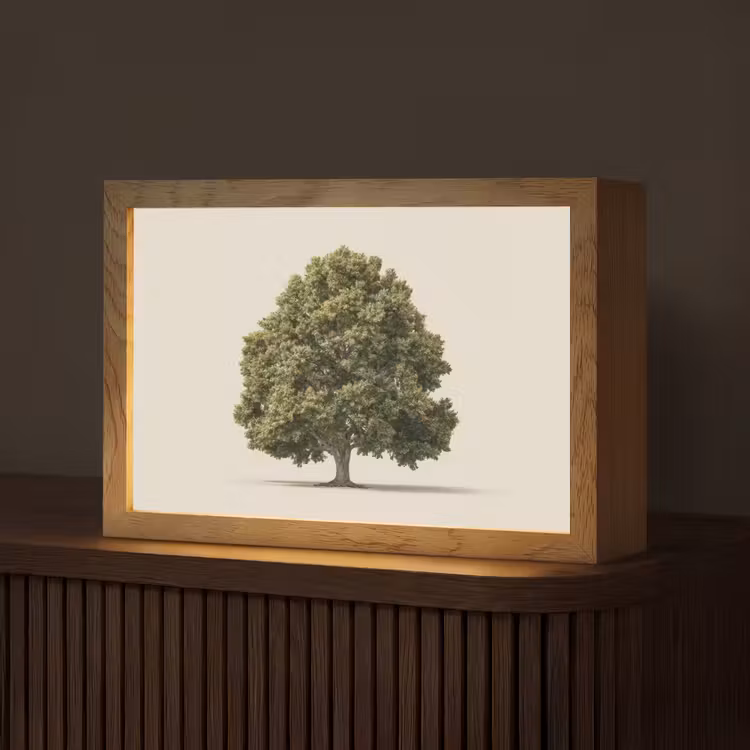 Eikenboom - Groen - Lichte achtergrond Light Box met kabel (Tafellamp) klein -z3d_website