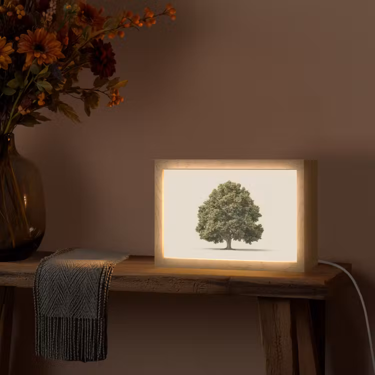 Eikenboom - Groen - Lichte achtergrond Light Box met kabel (Tafellamp) klein -sfeer4