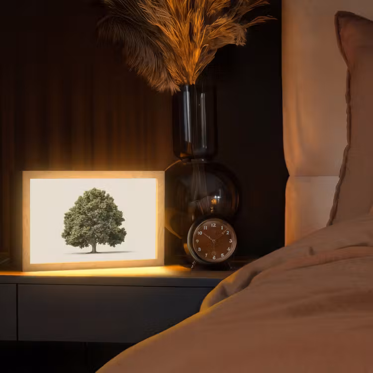 Eikenboom - Groen - Lichte achtergrond Light Box met kabel (Tafellamp) klein -sfeer1