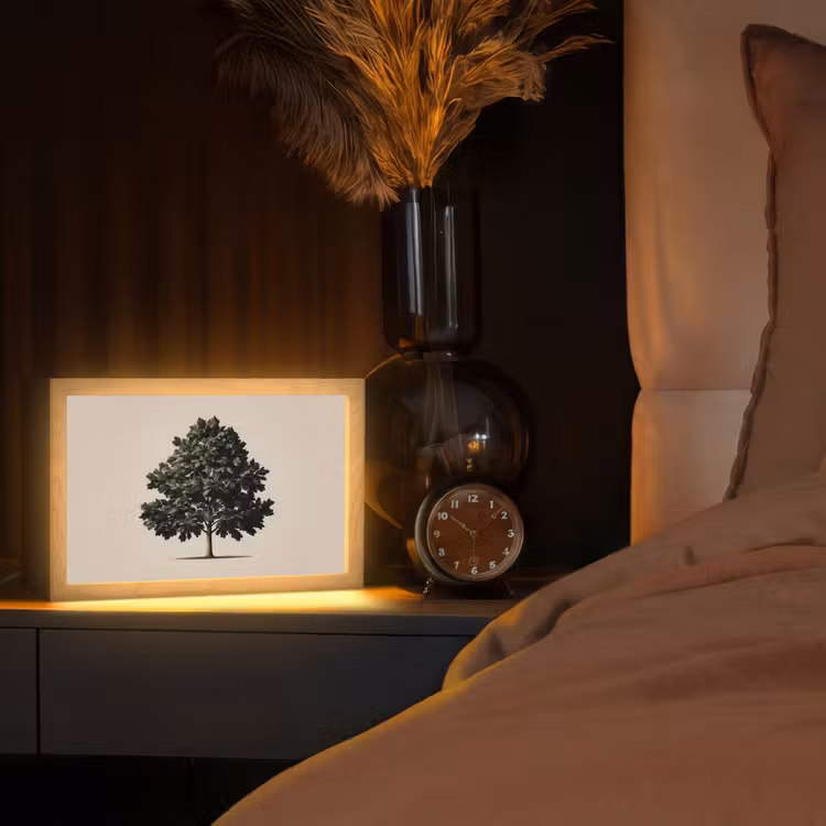 Eikenboom - Schaduw - Egaal Light Box met kabel (Tafellamp) klein -sfeer1