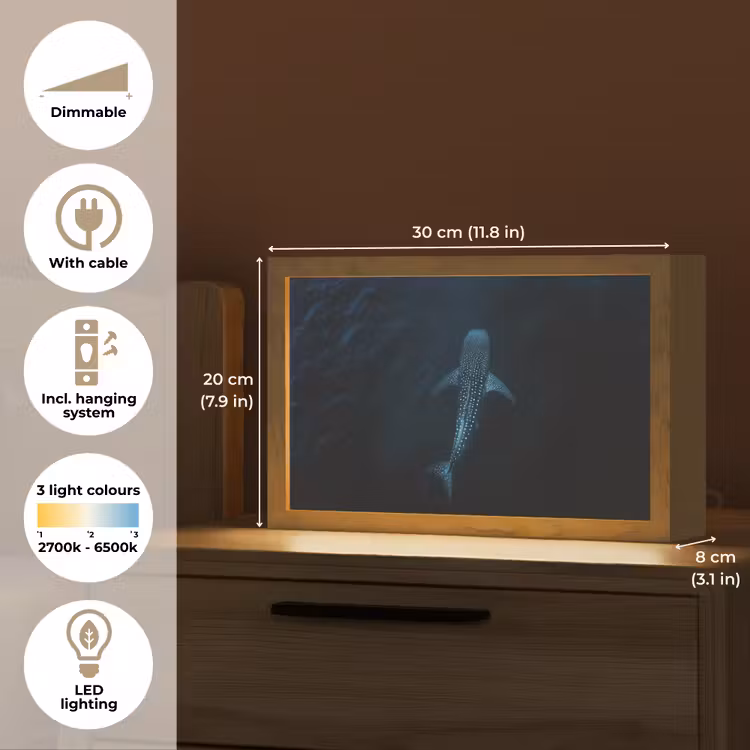 Oceaan - Walvishaai - Donkerblauw - Vlekken Light Box met kabel (Tafellamp) klein -USP_EN