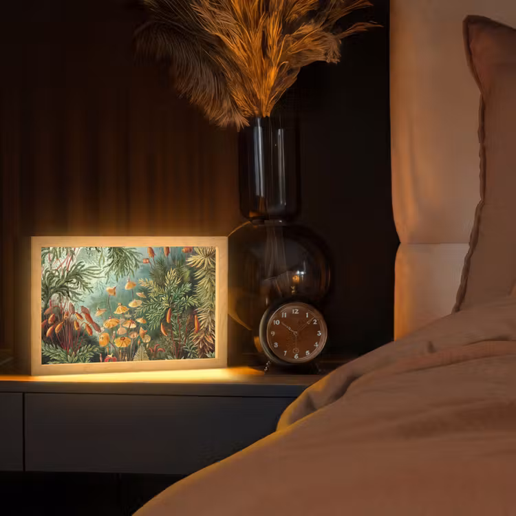 Oude meesters - Kunst - Muscinae - Haeckel Light Box met kabel (Tafellamp) klein -sfeer1