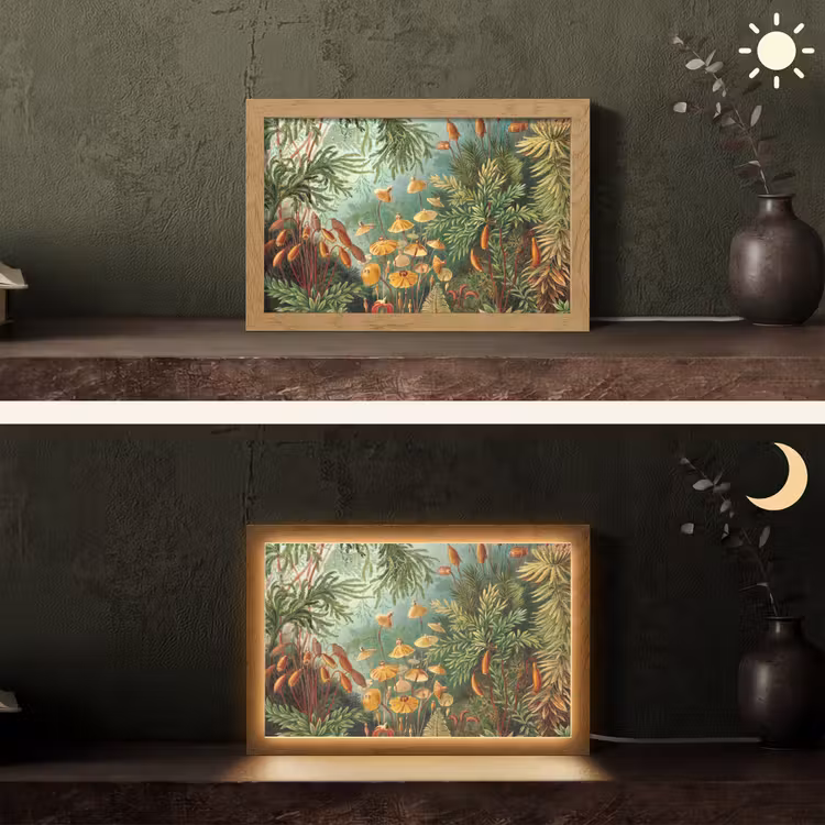 Oude meesters - Kunst - Muscinae - Haeckel Light Box met kabel (Tafellamp) klein -sfeer3