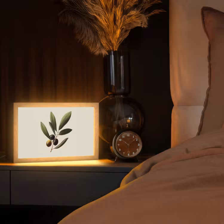 Olijftak - Donkergroen - Olijven Light Box met kabel (Tafellamp) klein -sfeer1