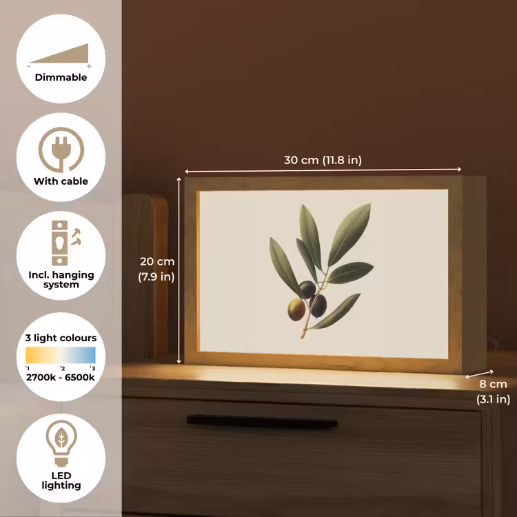 Olijftak - Donkergroen - Olijven Light Box met kabel (Tafellamp) klein -USP_EN
