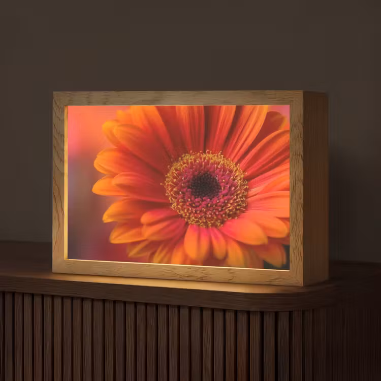 Oranje - Gerbera - Intens Light Box met kabel (Tafellamp) klein -z3d_website