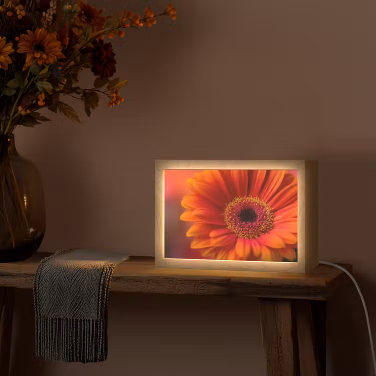 Oranje - Gerbera - Intens Light Box met kabel (Tafellamp) klein -sfeer4