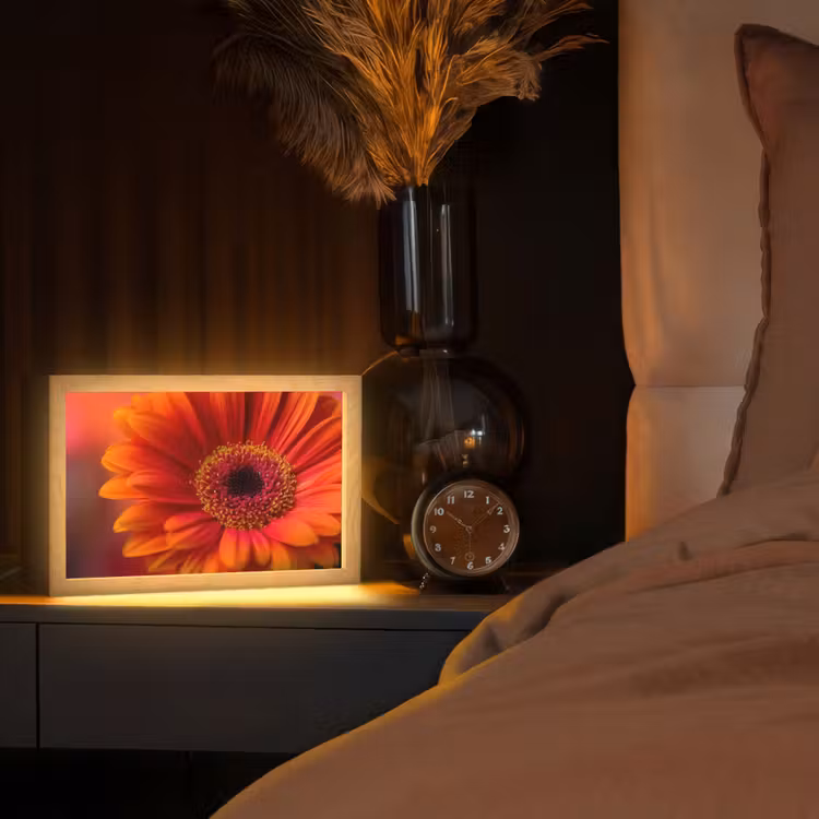 Oranje - Gerbera - Intens Light Box met kabel (Tafellamp) klein -sfeer1