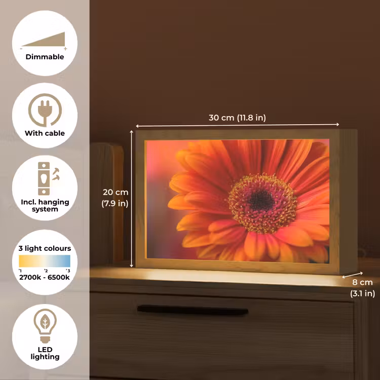 Oranje - Gerbera - Intens Light Box met kabel (Tafellamp) klein -USP_EN