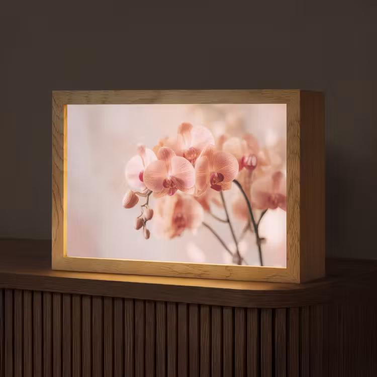 Orchidee - Bloemen - Roze - Bloemblaadjes Light Box met kabel (Tafellamp) klein -z3d_website