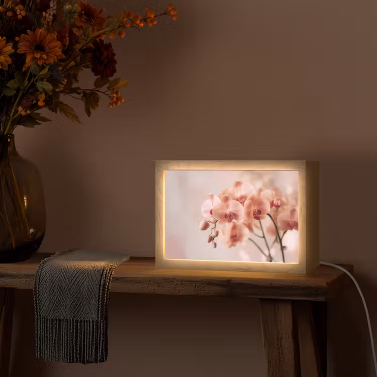 Orchidee - Bloemen - Roze - Bloemblaadjes Light Box met kabel (Tafellamp) klein -sfeer4