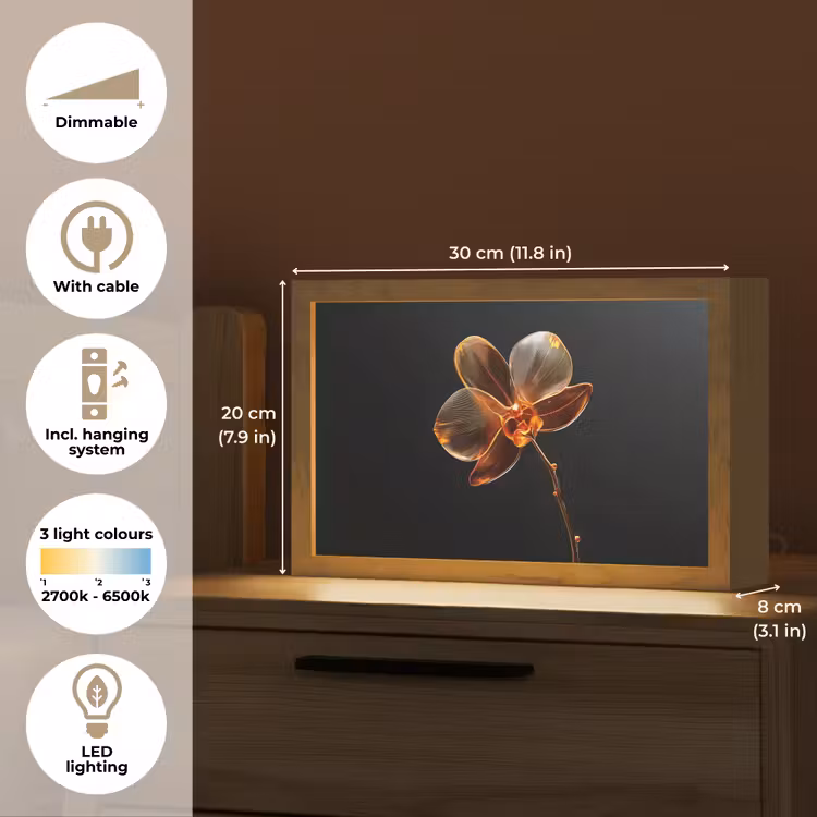 Orchidee - Doorzichtig - Bloem Light Box met kabel (Tafellamp) klein -USP_EN