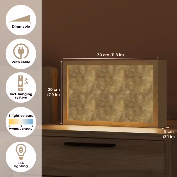 Organisch - Lijnen - Goud Light Box met kabel (Tafellamp) klein 924 -USP_EN