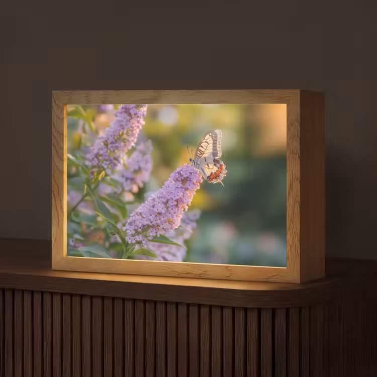 Sierlijke - Vlinder - Paarse - Bloemen Light Box met kabel (Tafellamp) klein -z3d_website