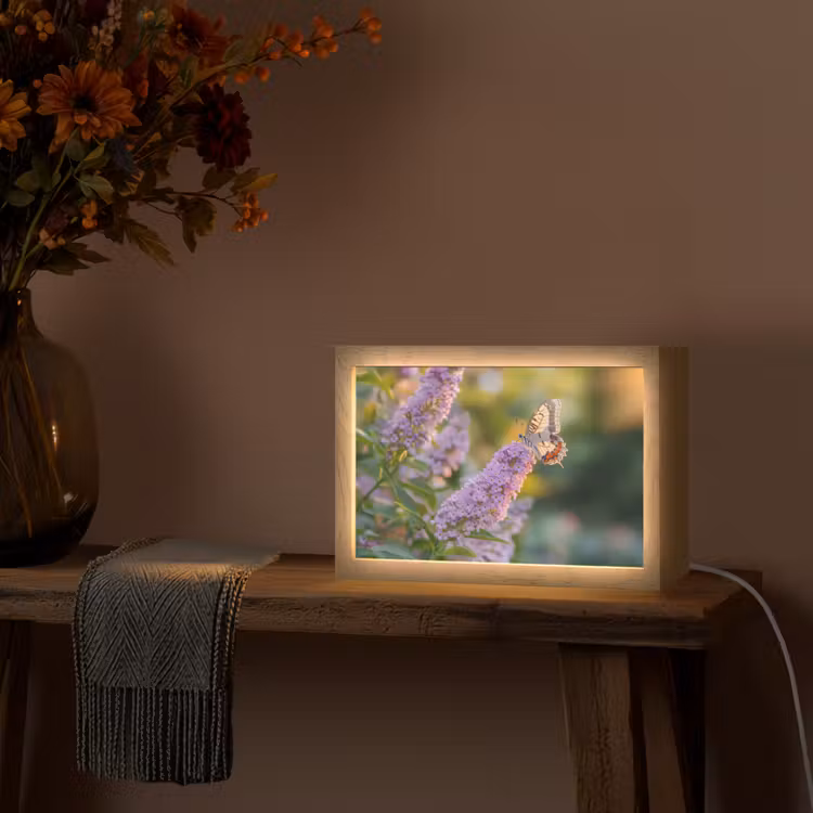 Sierlijke - Vlinder - Paarse - Bloemen Light Box met kabel (Tafellamp) klein -sfeer4