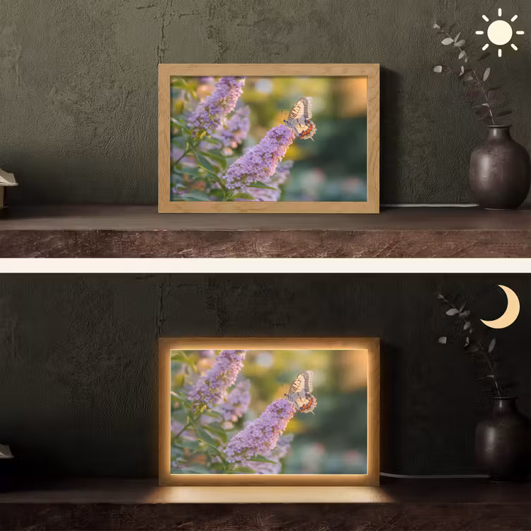 Sierlijke - Vlinder - Paarse - Bloemen Light Box met kabel (Tafellamp) klein -sfeer3