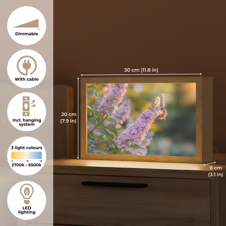 Sierlijke - Vlinder - Paarse - Bloemen Light Box met kabel (Tafellamp) klein -USP_EN