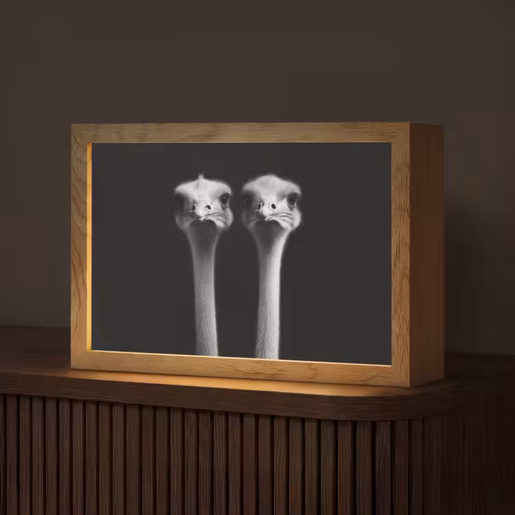 Struisvogels - Halzen - Zwart - Minimalistisch Light Box met kabel (Tafellamp) klein -z3d_website
