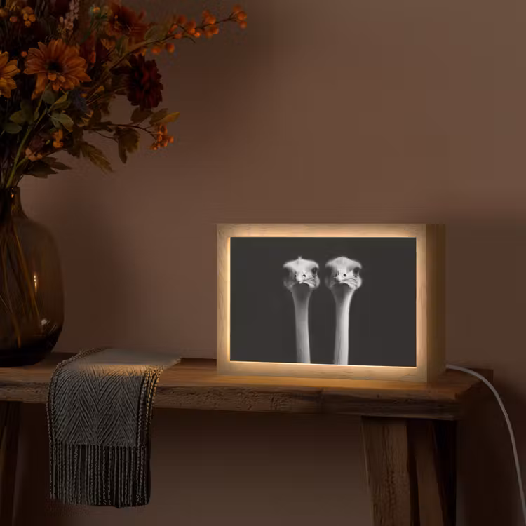 Struisvogels - Halzen - Zwart - Minimalistisch Light Box met kabel (Tafellamp) klein -sfeer4