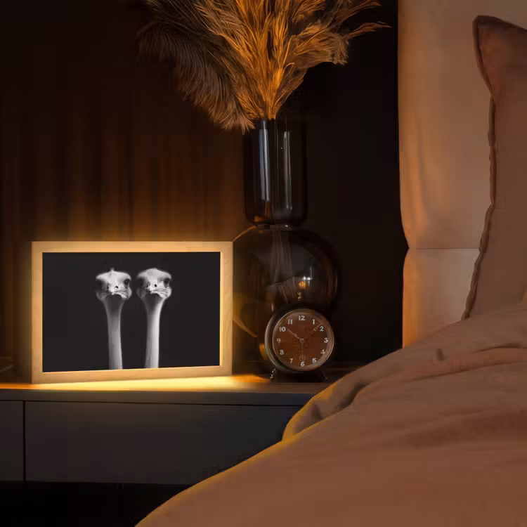 Struisvogels - Halzen - Zwart - Minimalistisch Light Box met kabel (Tafellamp) klein -sfeer1
