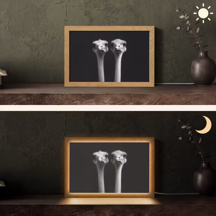 Struisvogels - Halzen - Zwart - Minimalistisch Light Box met kabel (Tafellamp) klein -sfeer3